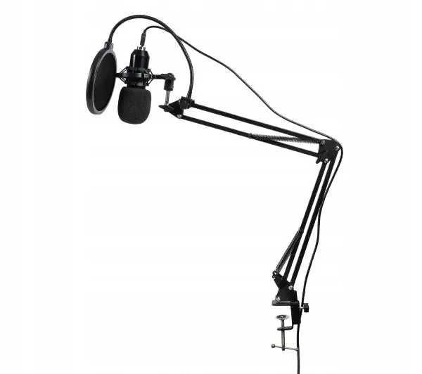 Mikrofon wokalny Reinston (Pojemnościowy)