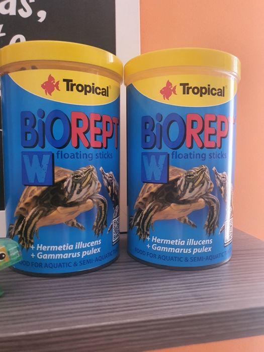 Sprzedam akwarium z całym wyposażeniem