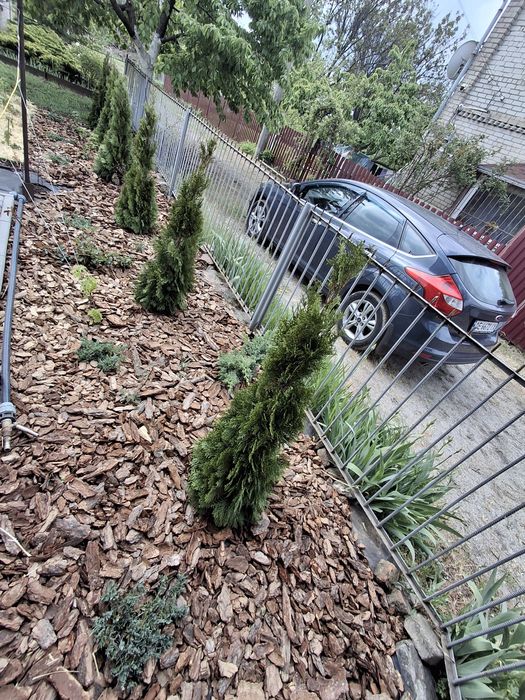 Ландшафтний дизайнер