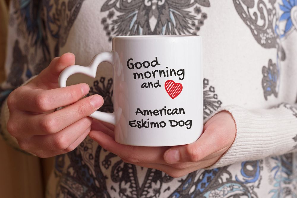 American Eskimo Dog kubek z psem good morning serce Art-Dog