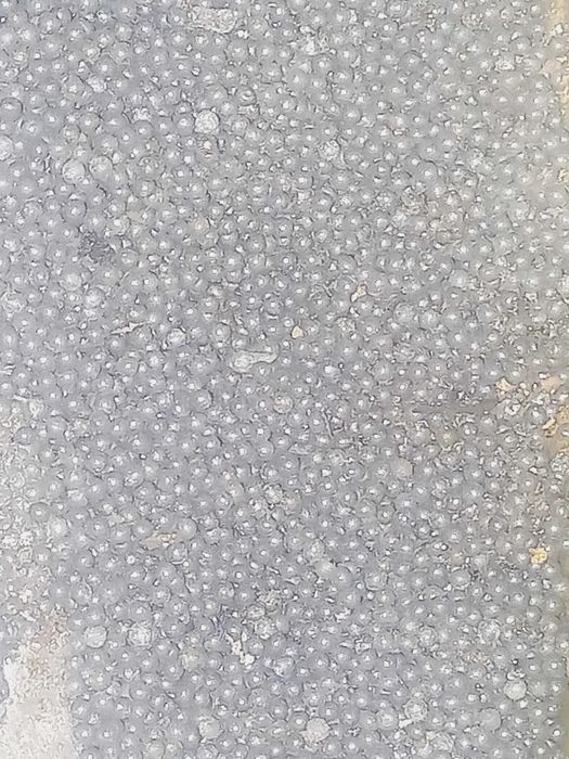 Chumbo - Esferas de 3mm