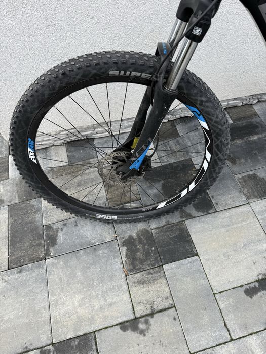 Rower BULLS ………………