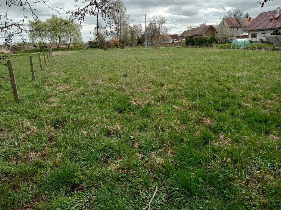 Sprzedam atrakcyjna działkę budowlaną 1900 m² Żarska Wieś ( DK 94 ) - Widok 2