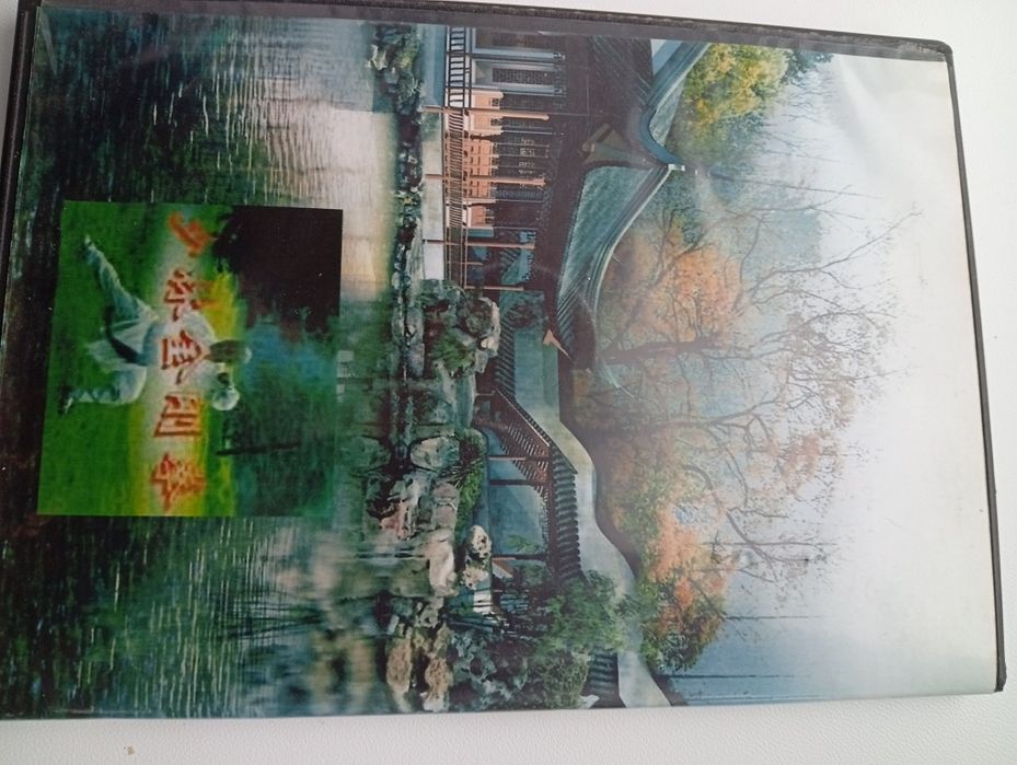 DVD Навчальний фільм бойові мистецтва Китаю