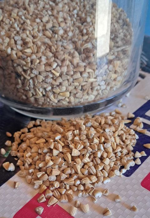 зерно Ячмень Ячмінь в мешках , є ОЛХ Доставка