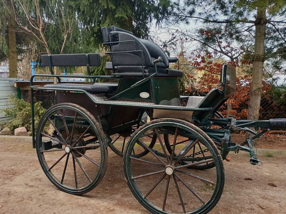 Piękna bryczka rekreacyjna-Wagonetka