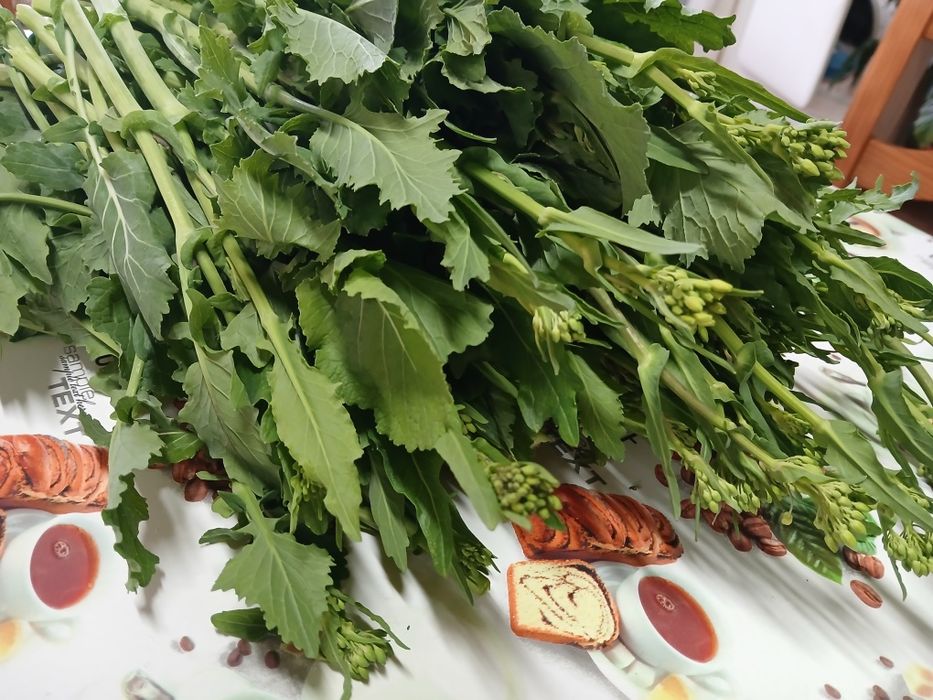 Grelos de Nabos  Biológicos NC