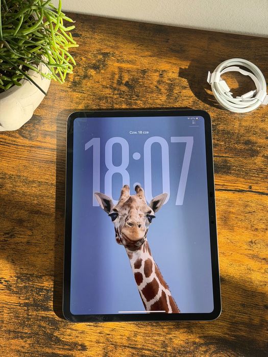 iPad Pro 11” M4 256GB Wi-Fi | AppleCare+ 10.2026 | 100% Bateria | 11 Cykli