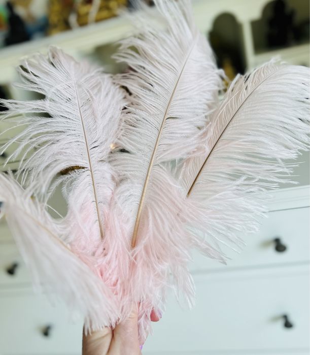 Strusie piora ozdobne teatralne 1 sztuka 20 zł