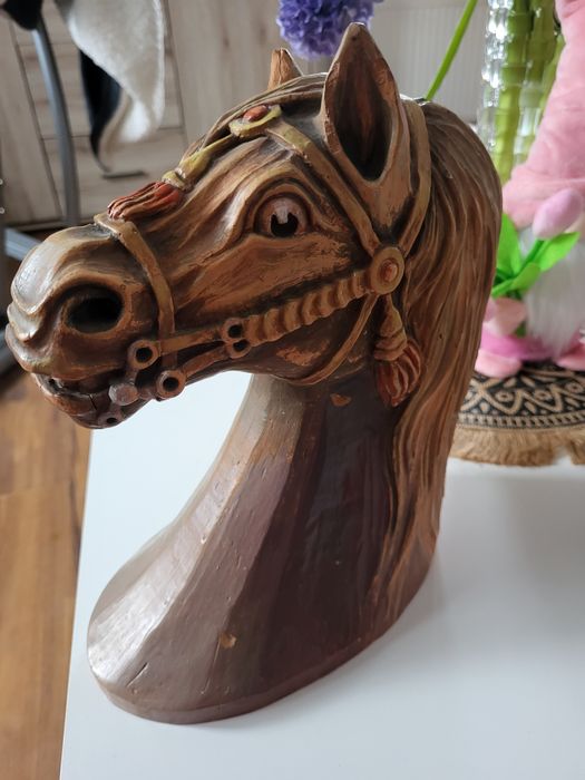 Piękna głowa  konia