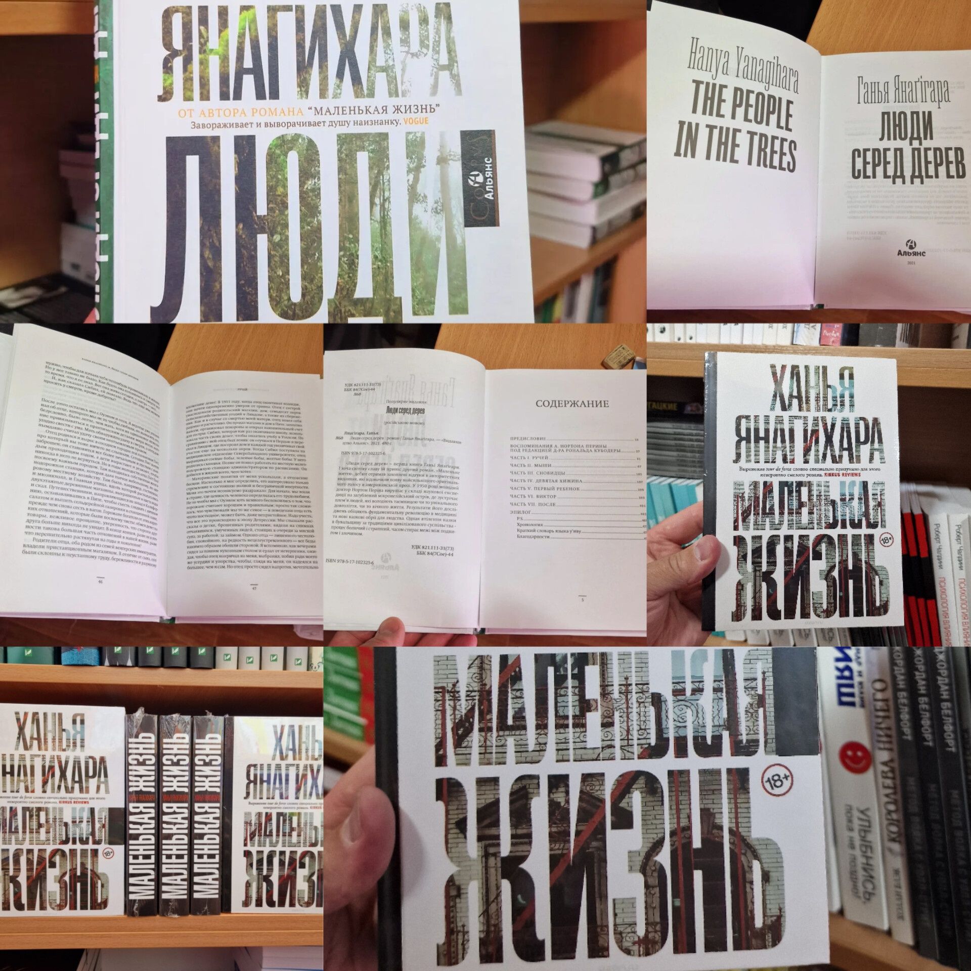 +Маленькая жизнь. Ханья Янагихара и другие книги В ассортименте.: 320 ...