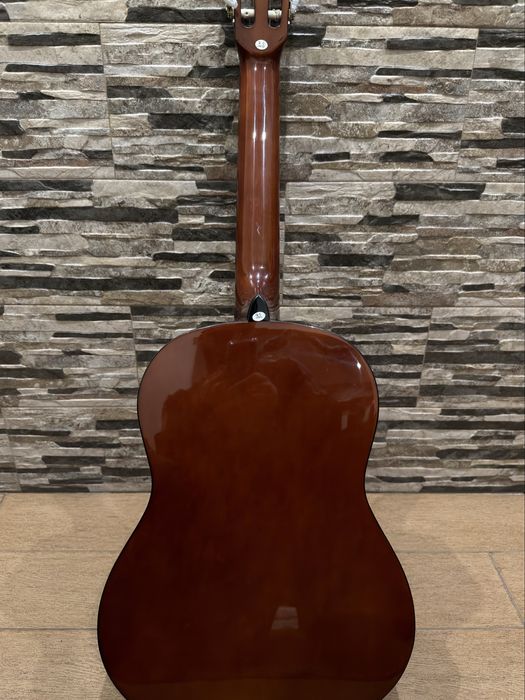 Viola com saco de transporte