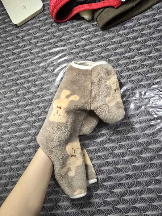 Одяг для собак різний