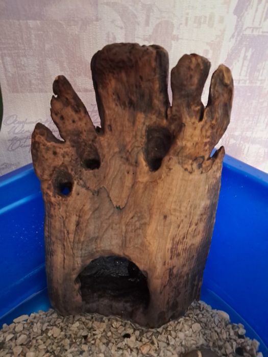 Коряга для аквариума недорого