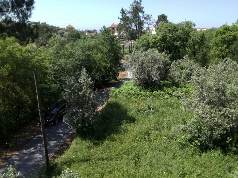 Casa antiga em ruinas para recuperar com frente de estrada