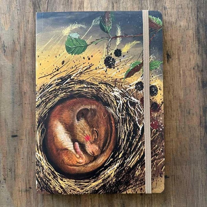 Notatnik z gumką A5 LCN37 Koszatka Alex Clark folia,157x14 mm