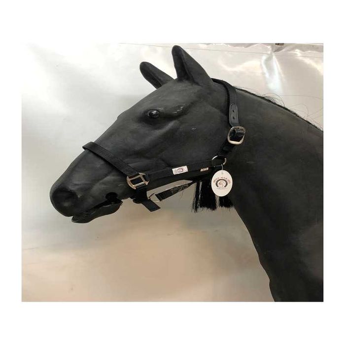 Cabeções em nylon reforçado