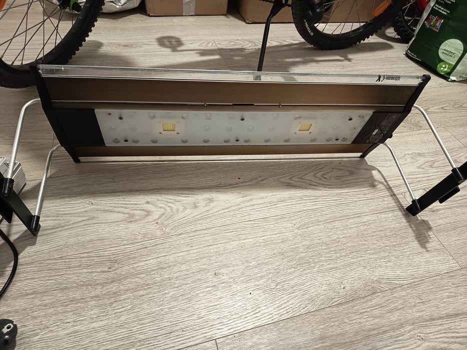 Maxspects v2 900