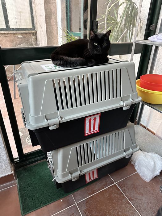 Ferplast Atlas 40 Pet Carrier