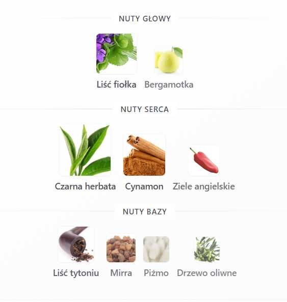 Zapach inspirowany Pour Homme II Gucci  Senzi Perfumes 400 Kup 2 + 1 GRATIS