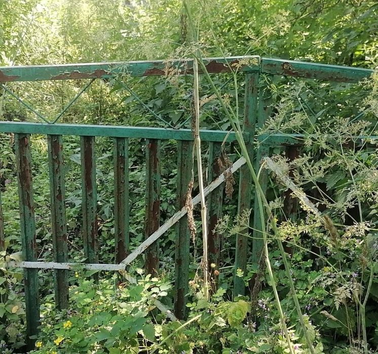 Продам ділянку в селі Гавришівка по вулиці Незалежності(Ленина Леніна)