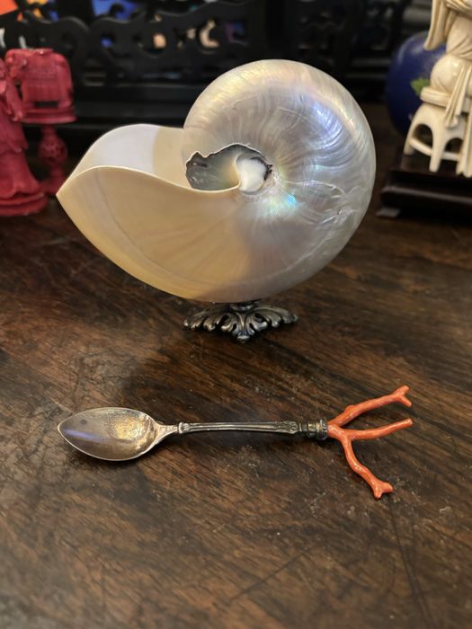 Açurareiro nautilus com colher prata e coral vermelho
