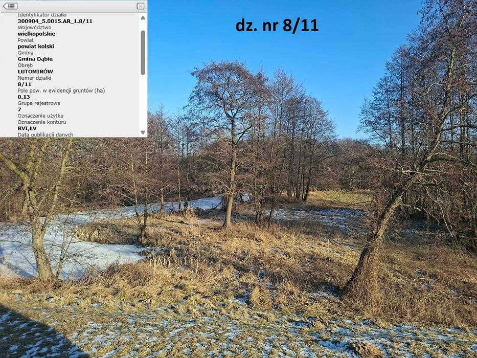 Sprzedam grunty rolne 3,15ha w miejscowości Gaj i Chełmno, gmina Dąbie - Więcej