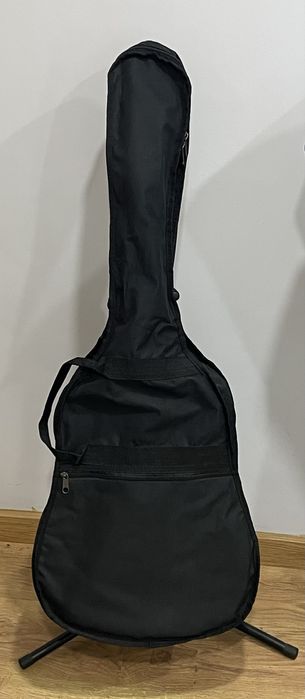 Viola clássica com suporte e capa