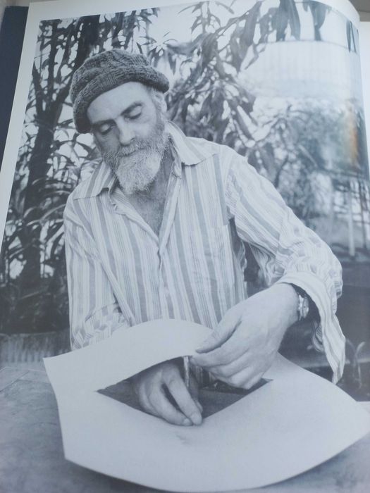 Книга Hundertwasser Гарри Рэнд
