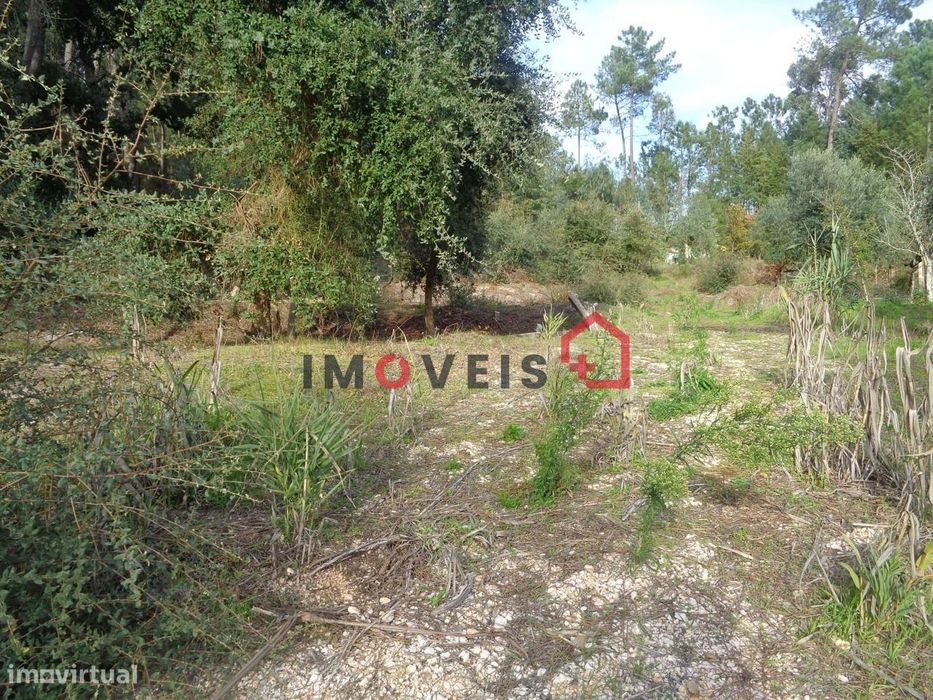Terreno para Construção — Caxarias, Santarém