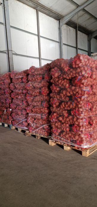 Batatas alhos cebolas