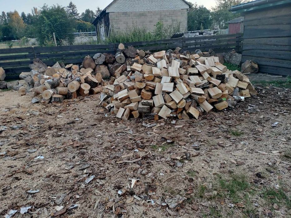 Brzoza opałowa 230zł