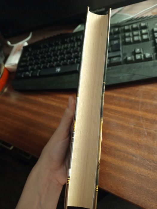 Джейн Рейб «День Бури»