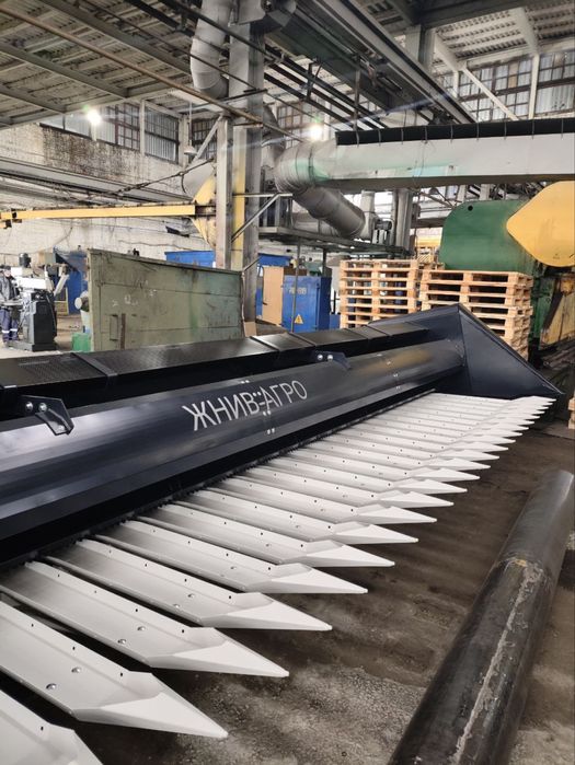 Жниварки соняшникові