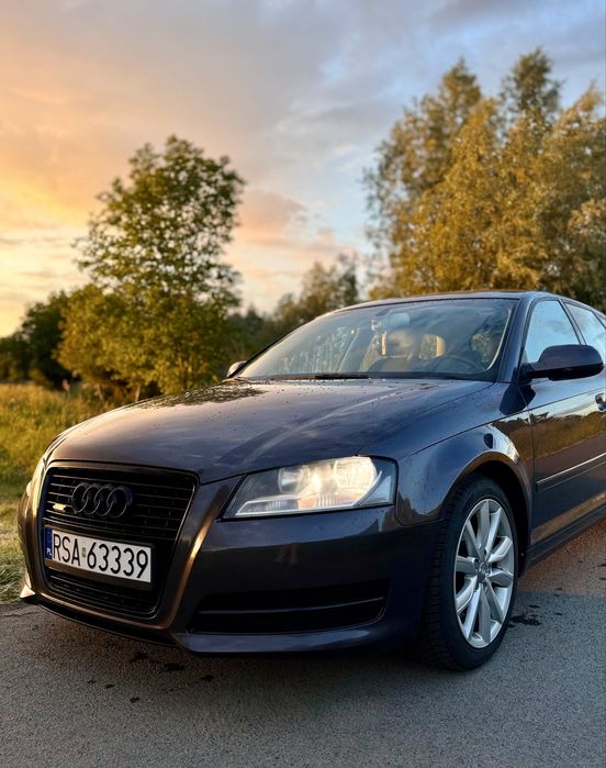 Audi A3 8P Quattro