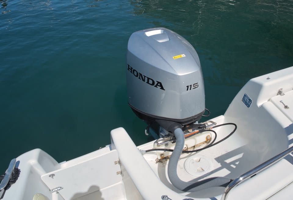 Quicksilver 650 with 2024 Honda 115 HP with very low hours