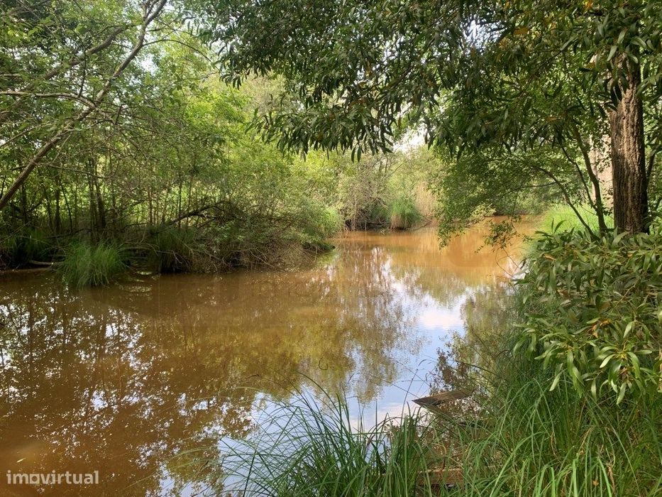 Quinta / propriedade agrícola, com nascente de agua - Aveiro