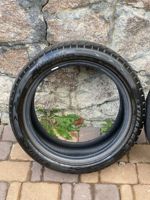 Зимові шини triangle winterX tw401 195/50/16 xl