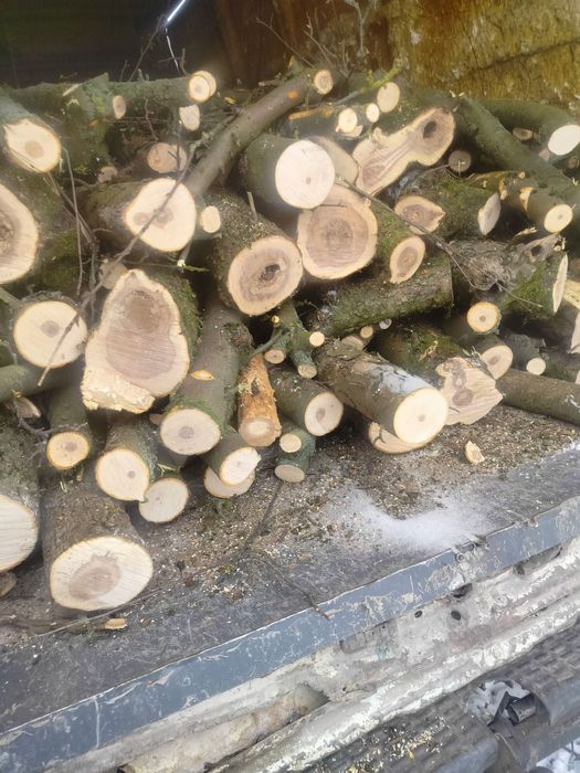 Drewno owocowe opałowe kominkowe