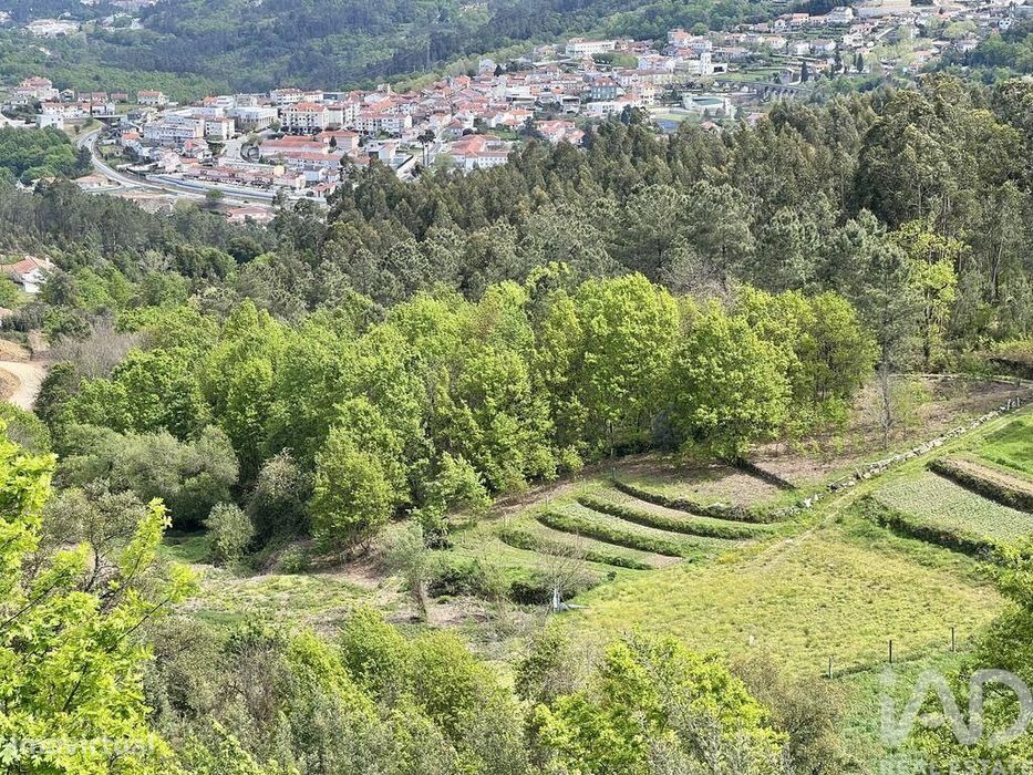 Terreno em Vouzela e Paços de Vilharigues de 26750,00 m2