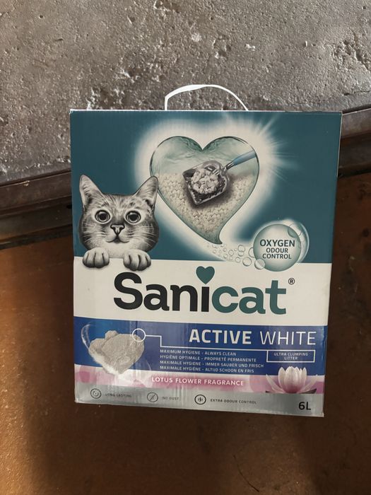 Ofereço Gato_Areia Sanicat