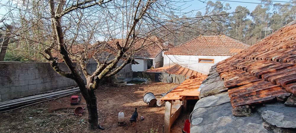 Moradia em Pedra em fase de Restauro
