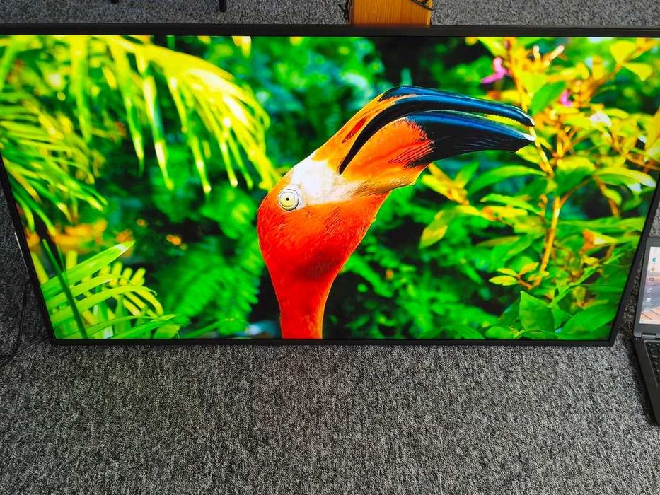 Monitor Reklamowy LED Panasonic TH-55LFE8E 55 " 1920 x 1080 px IPS / PLS