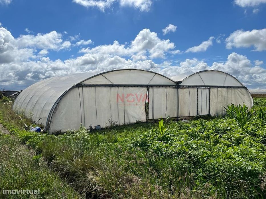 Terreno Rústico  Venda em Aguçadoura e Navais,Póvoa de Varzim