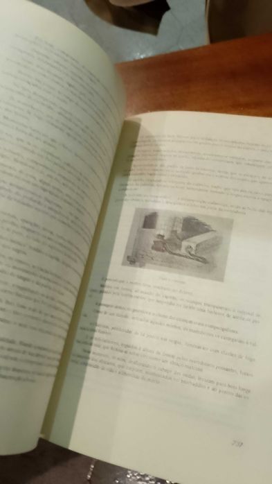 Festas e Tradições Populares do Brasil - Mello Moraes Filho