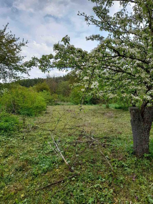 Продаж земельної ділянки під житлову забудову в Парпурівцях 7218