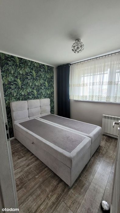 Zdjęcie 3