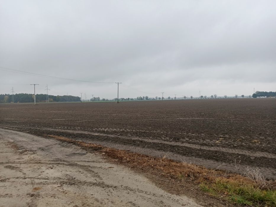 Wezmę  w dzierżawę grunty rolne