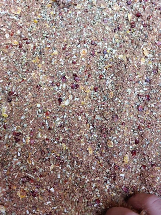 Zanęta Danimo tutti-frutti 8 kg kukurydziano-konopiana