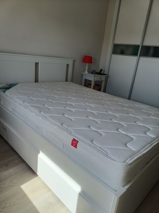 Colchão Molaflex 2020 Saúde/Coluna  140x200cm